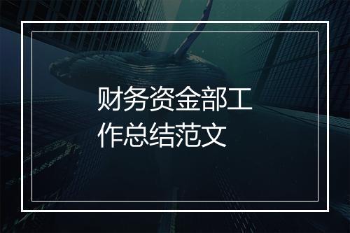 财务资金部工作总结范文