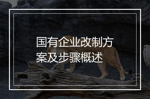 国有企业改制方案及步骤概述