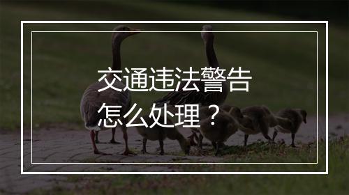 交通违法警告怎么处理？