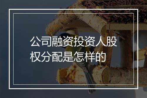 公司融资投资人股权分配是怎样的