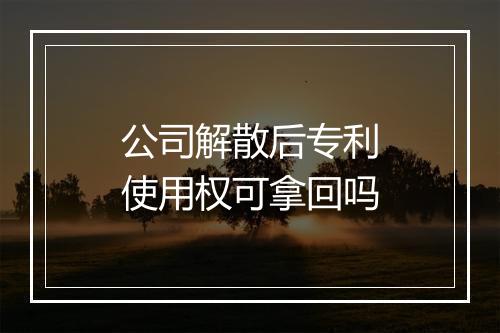 公司解散后专利使用权可拿回吗