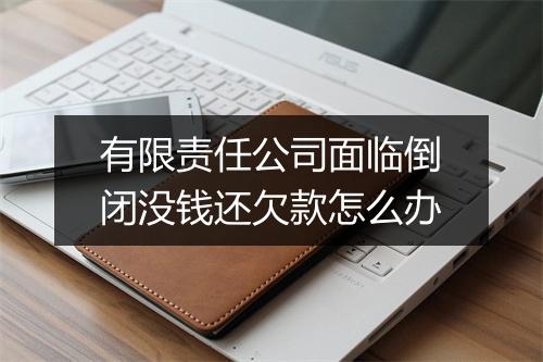有限责任公司面临倒闭没钱还欠款怎么办