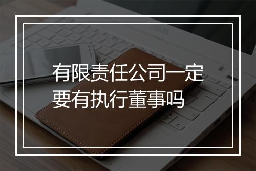 有限责任公司一定要有执行董事吗