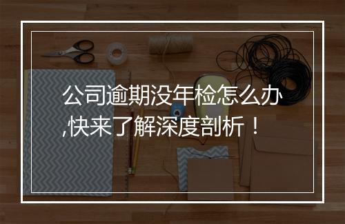 公司逾期没年检怎么办,快来了解深度剖析！