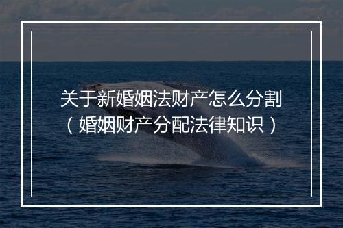 关于新婚姻法财产怎么分割（婚姻财产分配法律知识）
