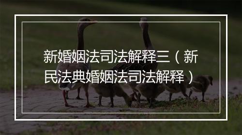 新婚姻法司法解释三（新民法典婚姻法司法解释）