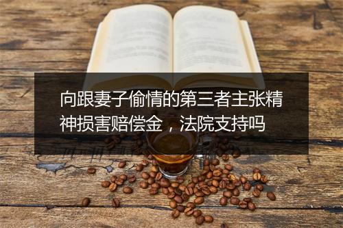 向跟妻子偷情的第三者主张精神损害赔偿金，法院支持吗