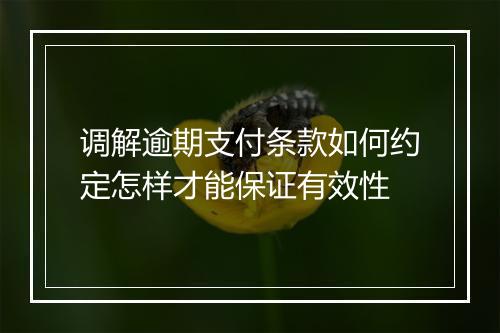 调解逾期支付条款如何约定怎样才能保证有效性