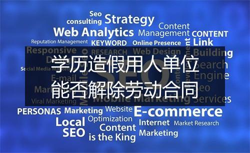 学历造假用人单位能否解除劳动合同