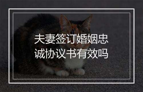 夫妻签订婚姻忠诚协议书有效吗