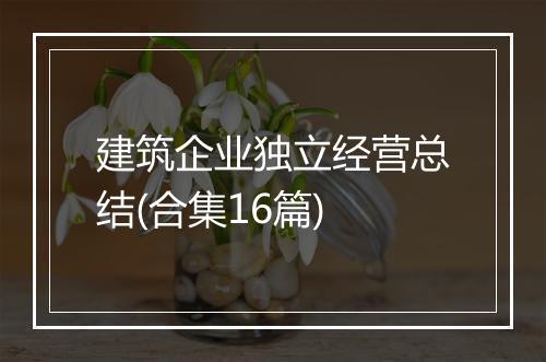 建筑企业独立经营总结(合集16篇)