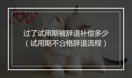 过了试用期被辞退补偿多少（试用期不合格辞退流程）
