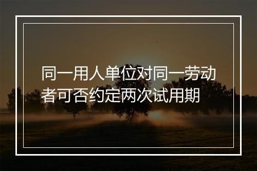 同一用人单位对同一劳动者可否约定两次试用期