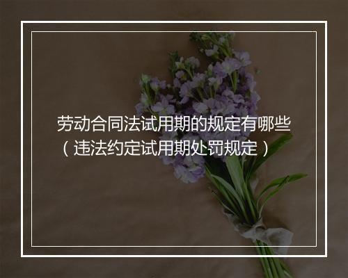 劳动合同法试用期的规定有哪些（违法约定试用期处罚规定）