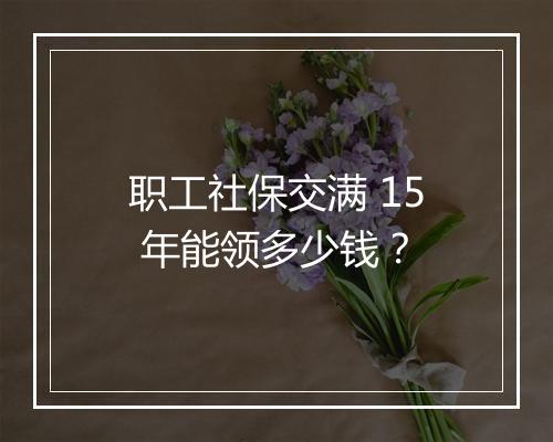 职工社保交满 15 年能领多少钱？