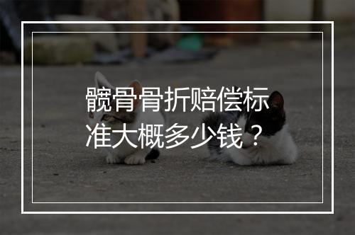 髋骨骨折赔偿标准大概多少钱？