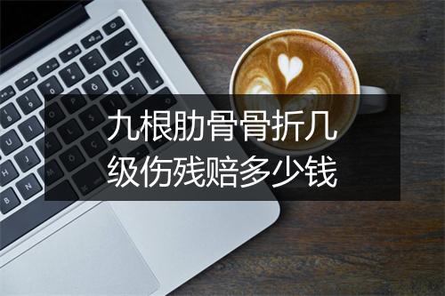 九根肋骨骨折几级伤残赔多少钱