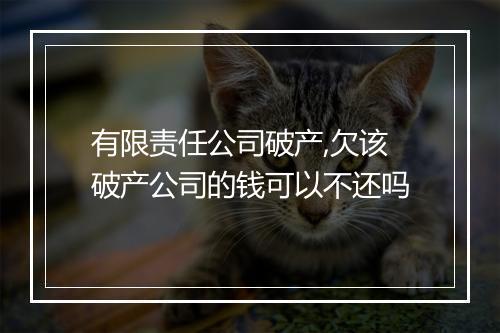 有限责任公司破产,欠该破产公司的钱可以不还吗