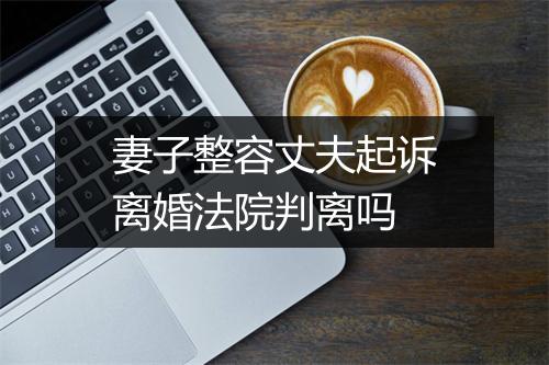 妻子整容丈夫起诉离婚法院判离吗