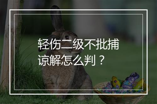 轻伤二级不批捕谅解怎么判？