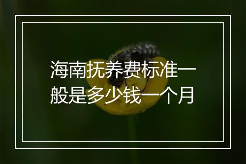 海南抚养费标准一般是多少钱一个月