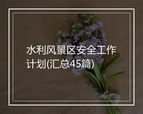 水利风景区安全工作计划(汇总45篇)
