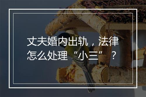 丈夫婚内出轨，法律怎么处理“小三”？