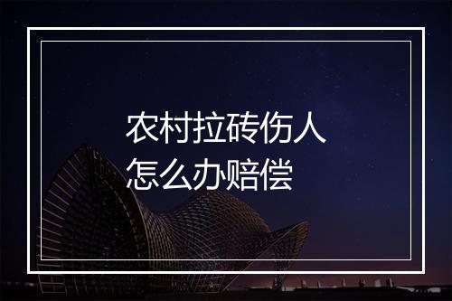 农村拉砖伤人怎么办赔偿