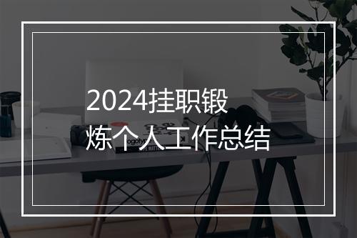2024挂职锻炼个人工作总结