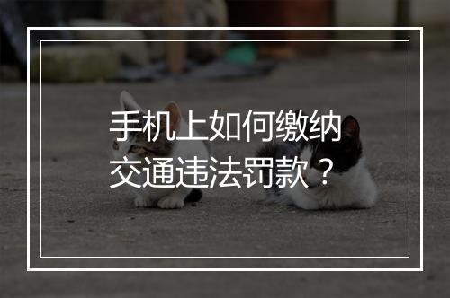 手机上如何缴纳交通违法罚款？