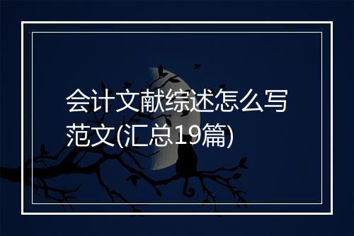 会计文献综述怎么写范文(汇总19篇)