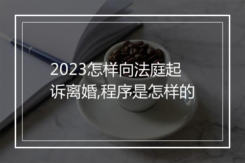 2023怎样向法庭起诉离婚,程序是怎样的