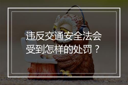 违反交通安全法会受到怎样的处罚？