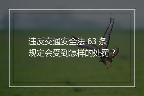 违反交通安全法 63 条规定会受到怎样的处罚？
