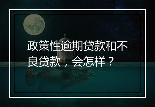 政策性逾期贷款和不良贷款，会怎样？