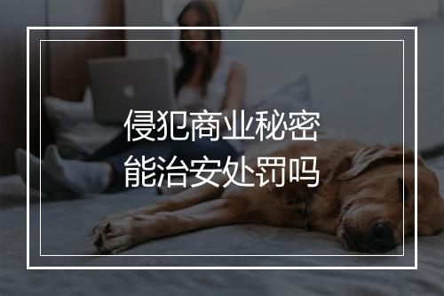 侵犯商业秘密能治安处罚吗