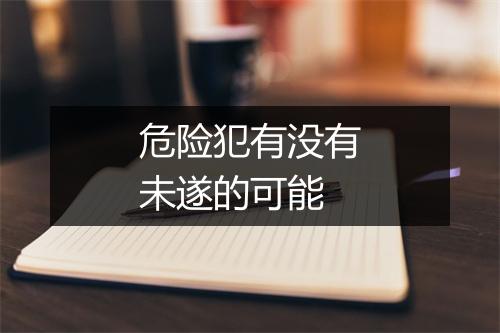 危险犯有没有未遂的可能