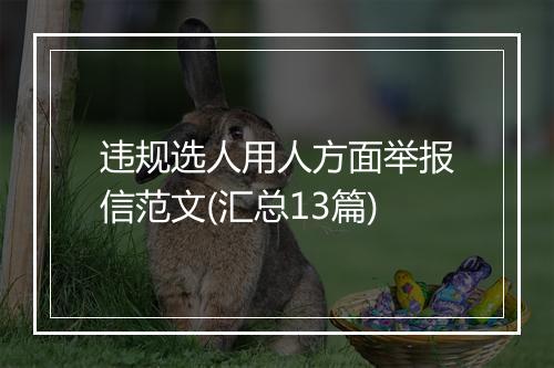 违规选人用人方面举报信范文(汇总13篇)