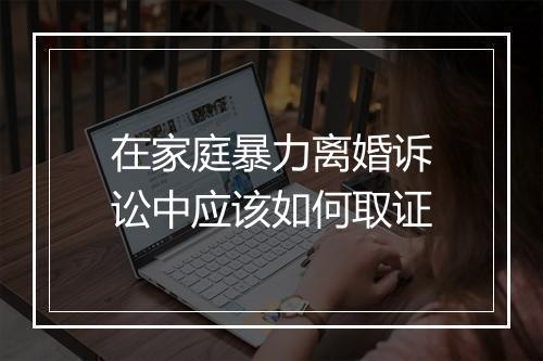 在家庭暴力离婚诉讼中应该如何取证