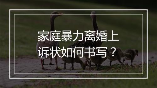 家庭暴力离婚上诉状如何书写？