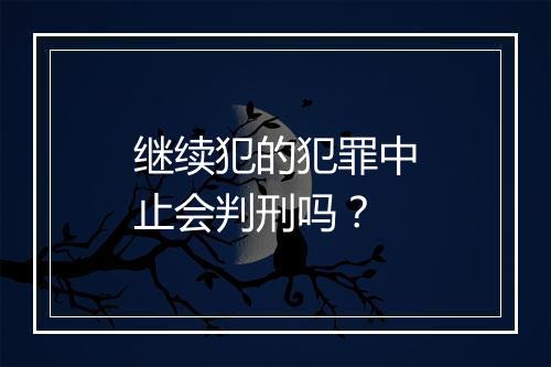 继续犯的犯罪中止会判刑吗？