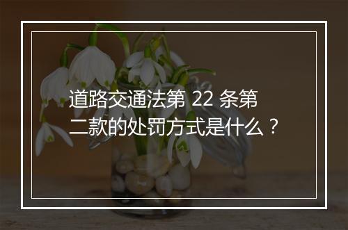道路交通法第 22 条第二款的处罚方式是什么？