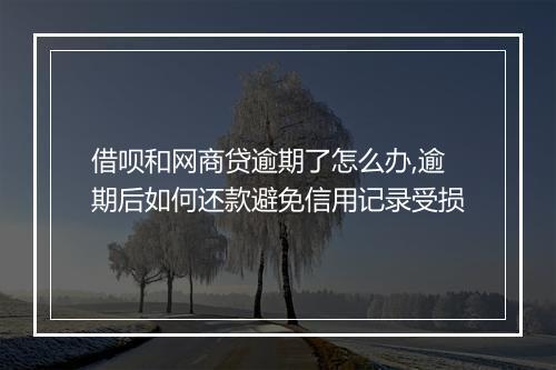借呗和网商贷逾期了怎么办,逾期后如何还款避免信用记录受损