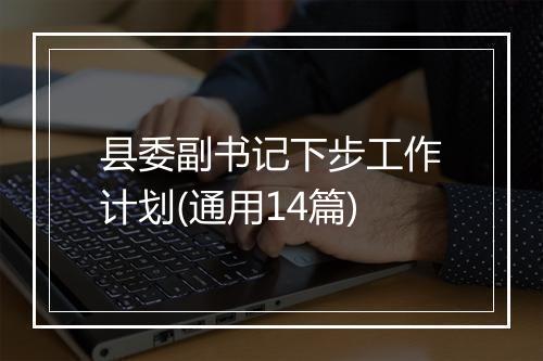 县委副书记下步工作计划(通用14篇)