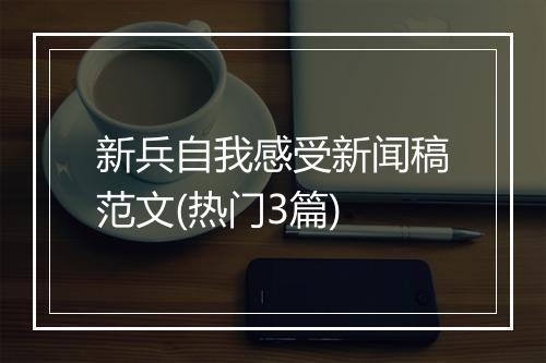 新兵自我感受新闻稿范文(热门3篇)