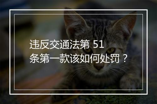 违反交通法第 51 条第一款该如何处罚？