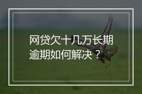 网贷欠十几万长期逾期如何解决？