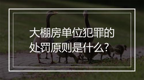 大棚房单位犯罪的处罚原则是什么?