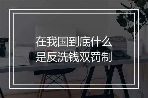 在我国到底什么是反洗钱双罚制