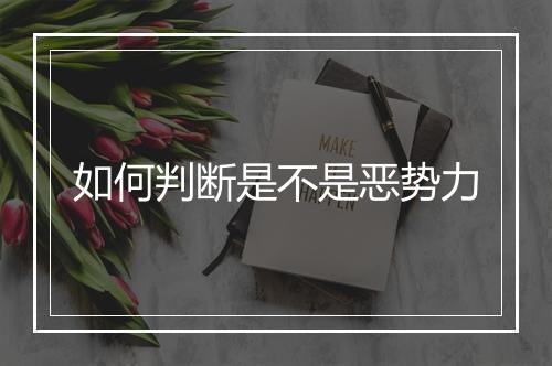 如何判断是不是恶势力